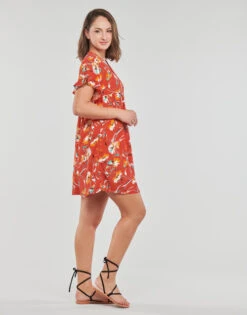 Betty London Popaline -Betty London 24122091 500 C