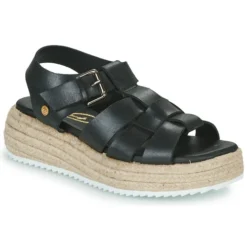 Betty London Camelia